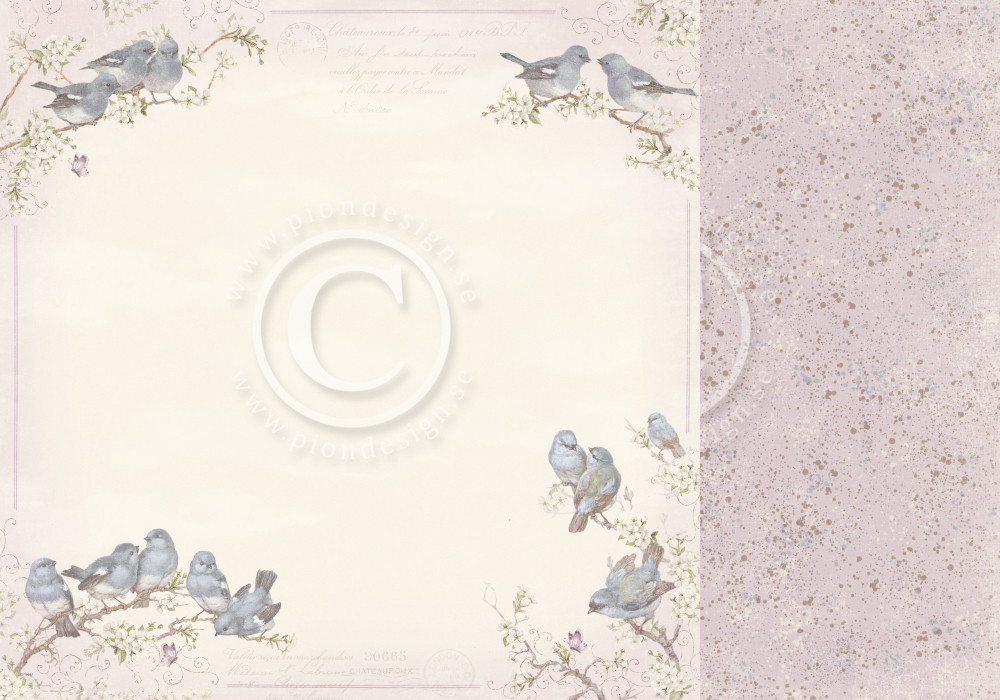 pion papier/new beginnings/Bird Song PD26002.jpg